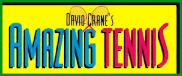 David Crane's Amazing Tennis (SEGA) Play Online